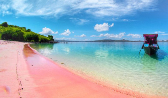 Pink Beach in Lombok, Indonesia: A Unique Natural Wonder