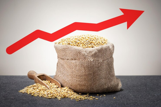 Kenaikan Harga Beras Mendominasi Inflasi Indonesia pada Bulan Februari 2024