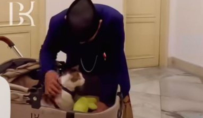 Viral di Media Sosial, Momen Prabowo Ajak Pindah Kucingnya, Bobby Kertanegara jadi Sorotan