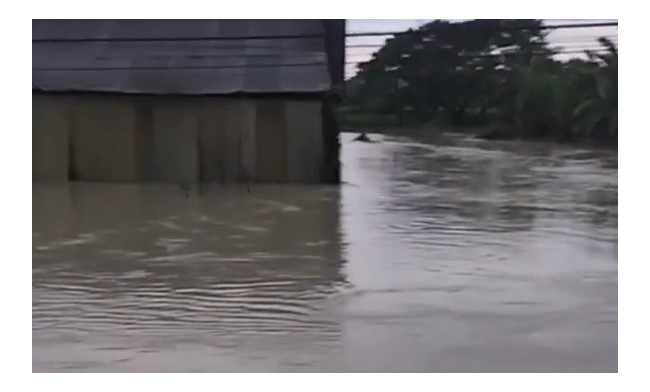 Ya Allah! Warga Jateng Sengsara dalam Sergapan Banjir, sampai Sembunyi di Kolong Jembatan