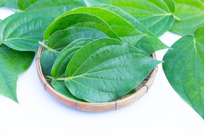 Dapatkan Kulit Glowing dengan Tumbuhan yang Mudah Ditemukan di Rumah