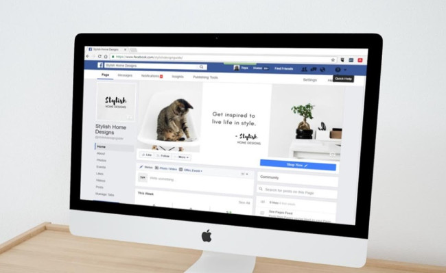 Bingung Cara Dapat Uang di Facebook Pro? Ternyata Ada Sejumlah Fitur Penghasilan Kreator