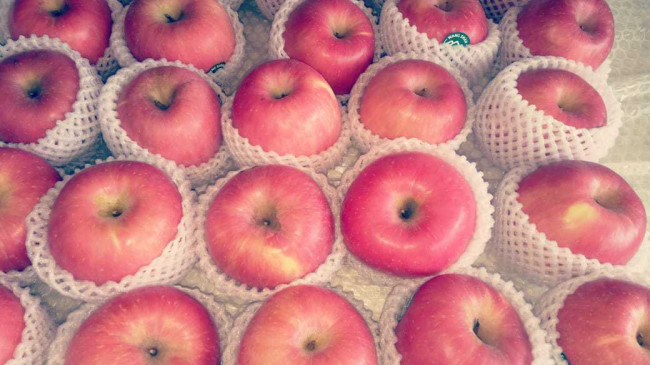 Manfaat Buah Apel untuk Kulit, Rahasia Kecantikan Alami