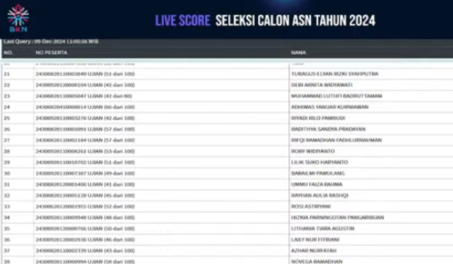SELAMAT ANDA LOLOS! Cek Hasil SKB CPNS 2024 BKN Serang