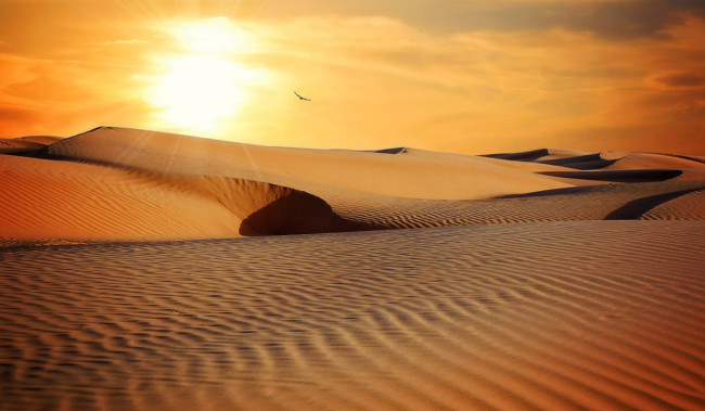 Bukan Arab Saudi, Inilah Tempat Paling Panas di Dunia, Suhunya Mencapai 74 Derajat Celcius