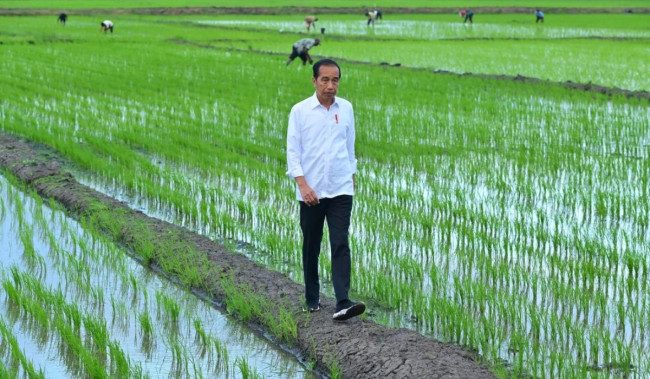 Projo Siap Jadi Parpol, Budi Arie Singgung Nama Jokowi setelah Diusir PDIP