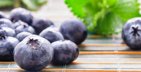 INFO- Manfaat Blueberry dalam Menutrisi Kulit agar Tetap Kenyal dan Sehat