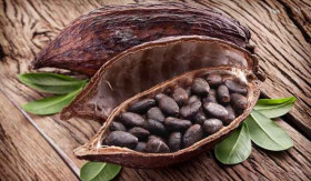 INFO- Pewarna Alami untuk Makeup: Rahasia Tampil Cantik Tanpa Khawatir (Sumber: https://www.alodokter.com/)