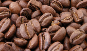 INFO- Kopi untuk Kulit Wajah: Rahasia Alami untuk Kulit Cantik dan Segar (Sumber: https://id.wikipedia.org/)
