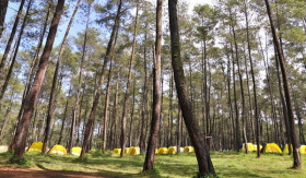 INFO- Liburan Hemat di Bandung: Review Green Grass Cikole (Sumber: https://www.lembangjunglediscovery.com/)