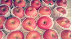 SKINCARE- Manfaat Buah Apel untuk Kulit, Rahasia Kecantikan Alami (Sumber: https://pasarsegar.co.id/)
