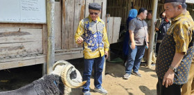 ADIKARYA PARLEMEN.  H. Cecep Gogom melaksanakan kunjungan kerja ke Balai Pengembangan Perbibitan Domba dan Kambing di Margawati, Kabupaten Garut - Instagram/h.cecepgogom