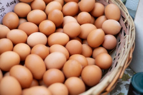HARGA KOMODITAS PANGAN TURUN TIPIS - Ilustrasi telur ayam ras. Data panel Bapanas menunjukkan sejumlah harga bahan pokok secara nasional turun tipis. (Foto: Freepik).