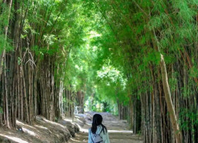 TIPS- Essential Packing Guide, What to Bring for Your Trip to Indonesia