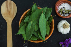 Daun salam koja atau daun kari bahan rempah masakan yang ternyata memiliki manfaat baik untuk kesehatan. Ilustrasi/Freepik.