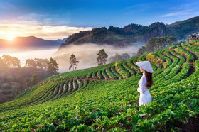 TEMPAT WISATA BANDUNG - Bandung, Jawa Barat, menyimpan banyak sekali keindahan alam dan wisata yang menyegarkan mata. - Ilustrasi/Freepik.