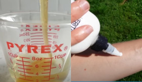 SKINCARE ALAMI - Menggunakan skincare yang dibuat sendiri dari rumah dan pakai bahan-bahan alami, sangat memungkinkan, simak langkah-langkahnya berikut ini. - Foto tangkap layar YouTube/Clean Food Living.