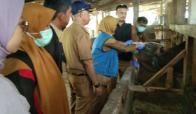 IDUL ADHA - Jelang Idul Adha, Pj. Bupati Garut pantau dan pastikan harga hewan kurban stabil. -Dok.jabarprov.go.id.